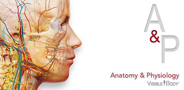 essential anatomy 3 apk full obb