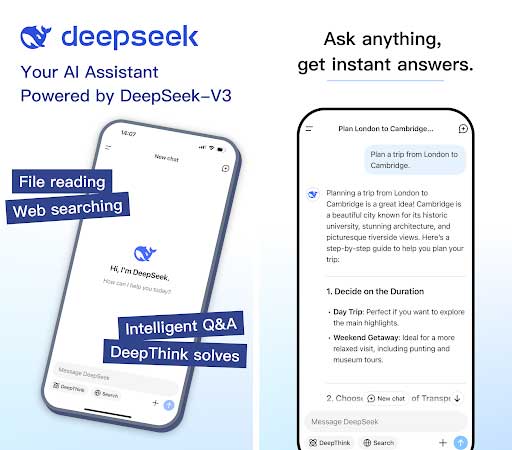 DeepSeek MOD APK