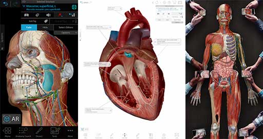 visible body 3d human anatomy atlas free download mac