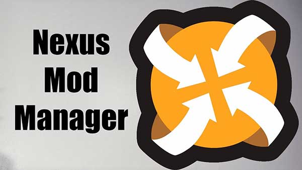 nexus mod manager not opening windows 10