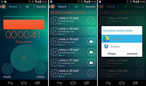 Voice Recorder Premium - Dictaphone Apk