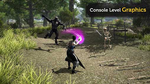 Evil Lands: Online Action RPG Cover
