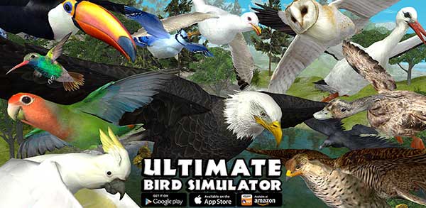 roblox bird simulator roblox simulation birds