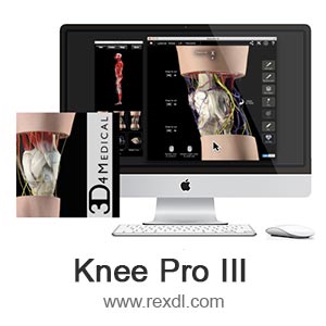 knee length mac
