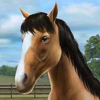 My Horse Android thumb