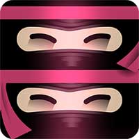 The Last Ninja Twins Android thumb