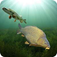 3DCARP Android thumb